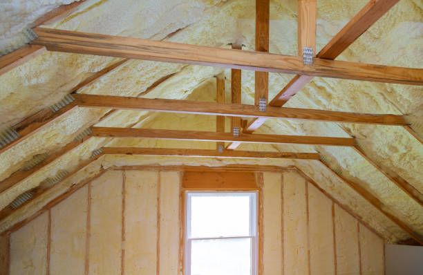 Best Residential Insulation in Sam Rayburn, TX